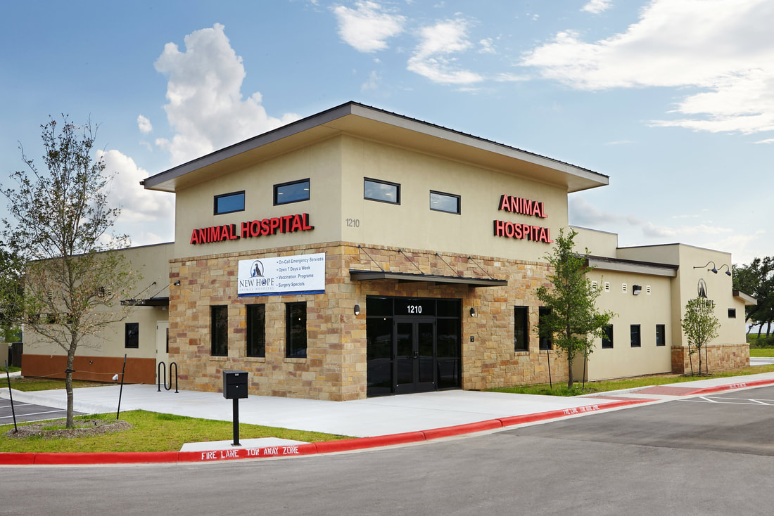 Who made the Google Virtual Tour for New Hope Animal Hospital? -   Producers of Virtual Tours with publishing on Google.